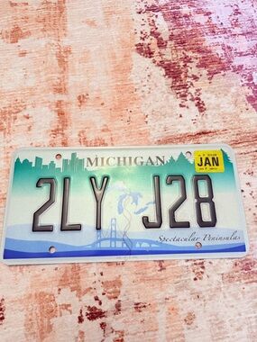 Michigan License Plate - Aqua Gradient with Black Characters